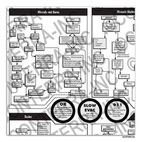 First Aid "At a Glance" Flowchart