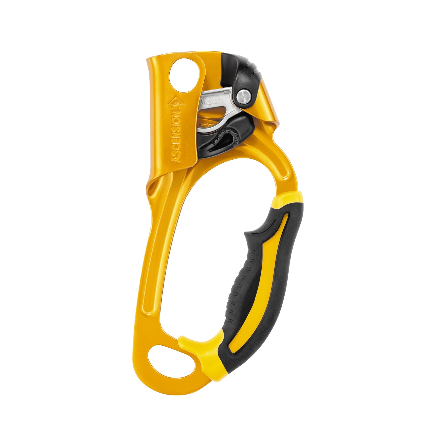 Petzl Ascension | Conterra Inc Petzl Ascension | Conterra Inc